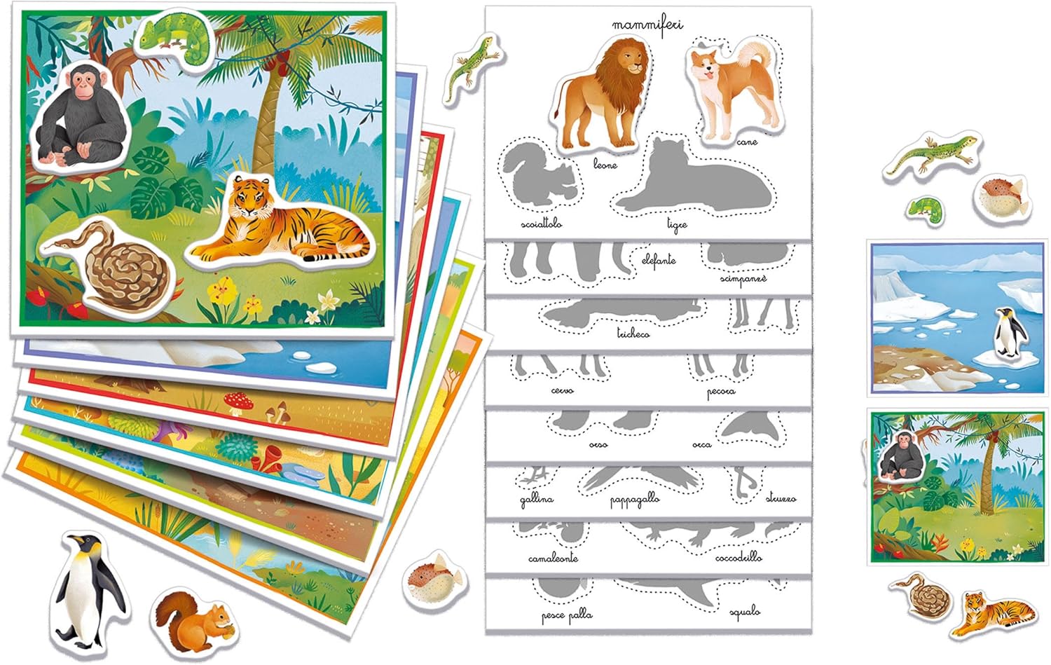MONTESSORI – GLI ANIMALI - immagine 3